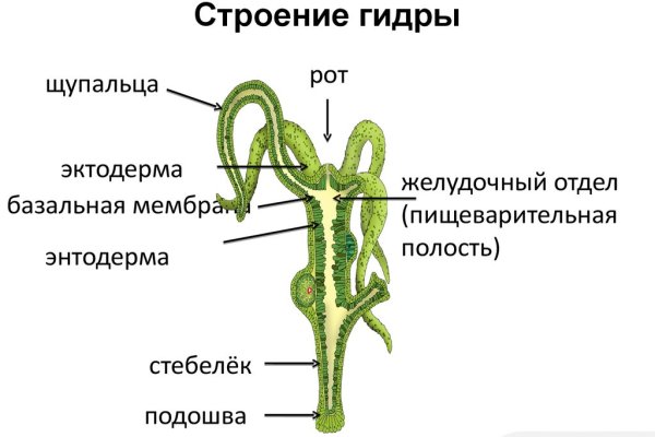 Что такое кракен плейс