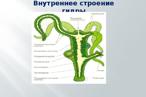 Не приходят деньги на кракен